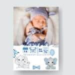 Alexander - Personalized Birth Newborn Stats with Photo Digital Poster